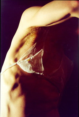 'flow' 1998/2000      Bikini von Eva Grubinger      Modell: Jan-Holger Mauss